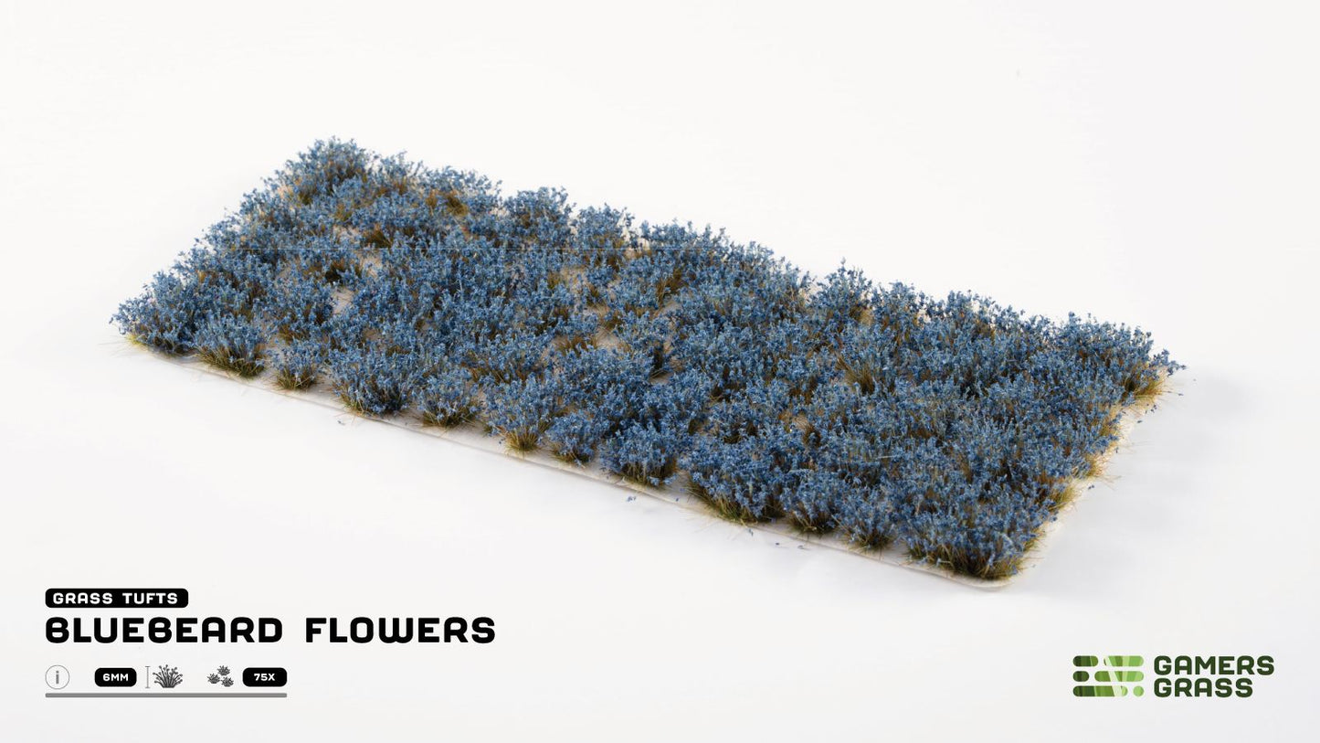 Gamers Grass - Bluebeard Flowers