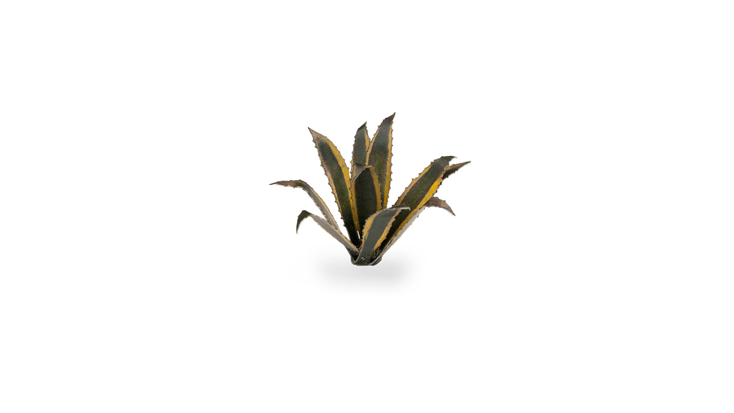 Gamers Grass - Agave
