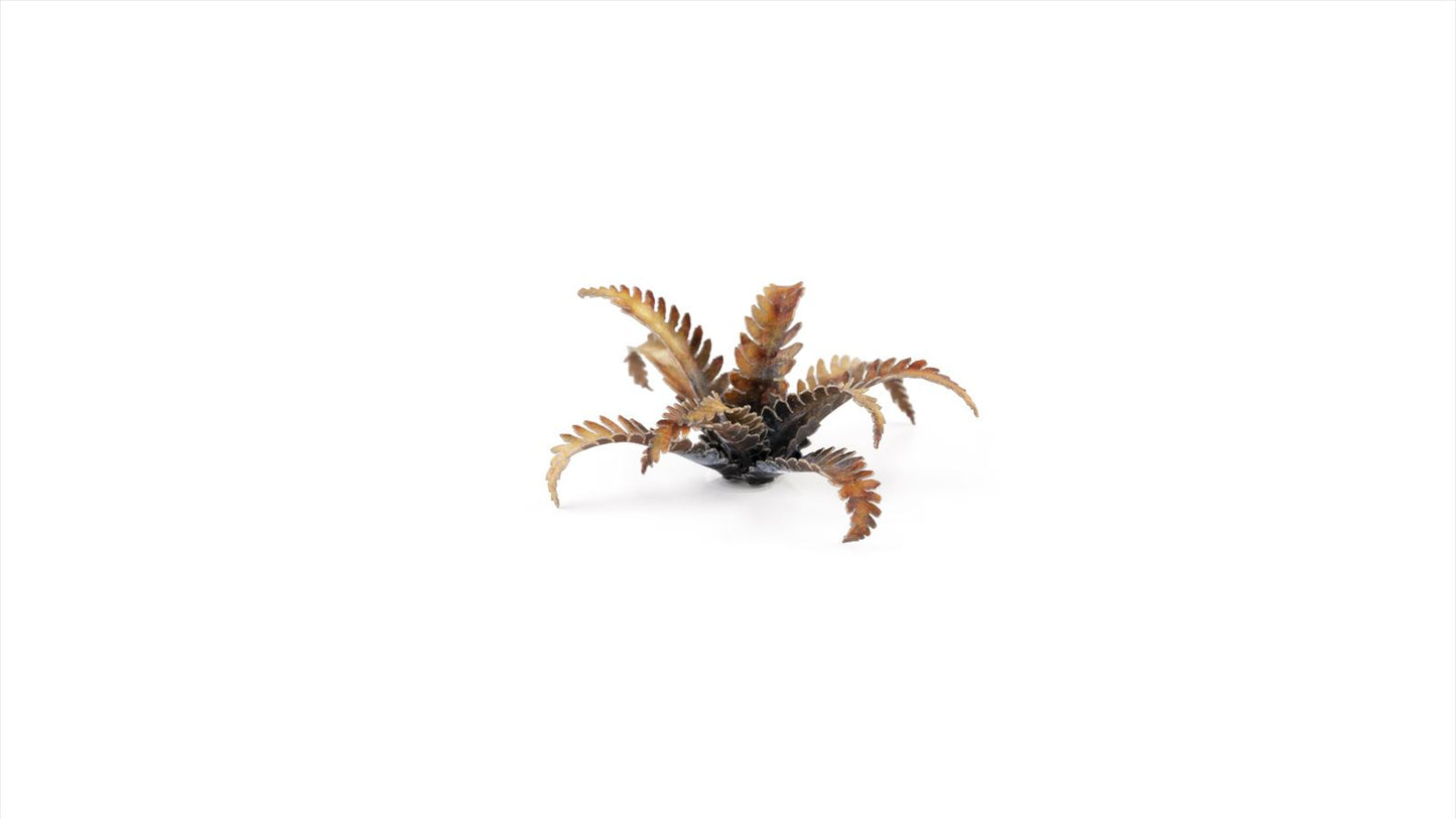 Gamers Grass - Alien Fern