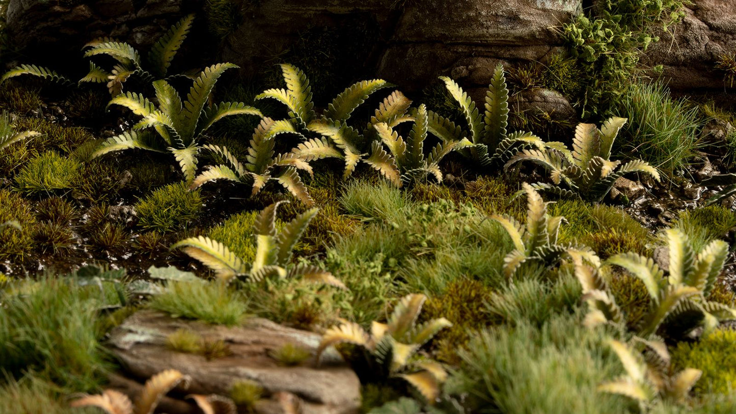 Gamers Grass - Deer Fern