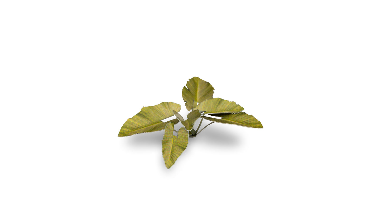 Gamers Grass - Elephant Ear