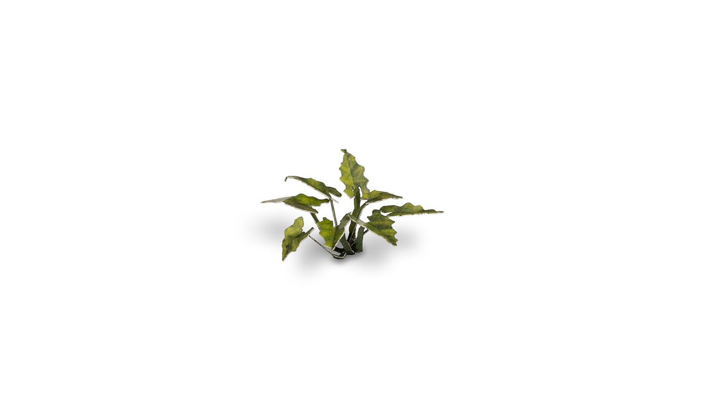 Gamers Grass - Lords-and-Ladies
