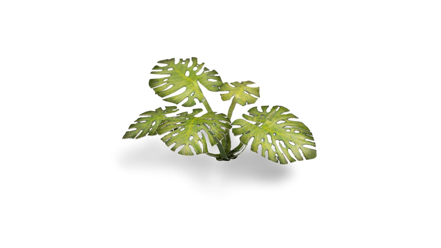 Gamers Grass - Monstera