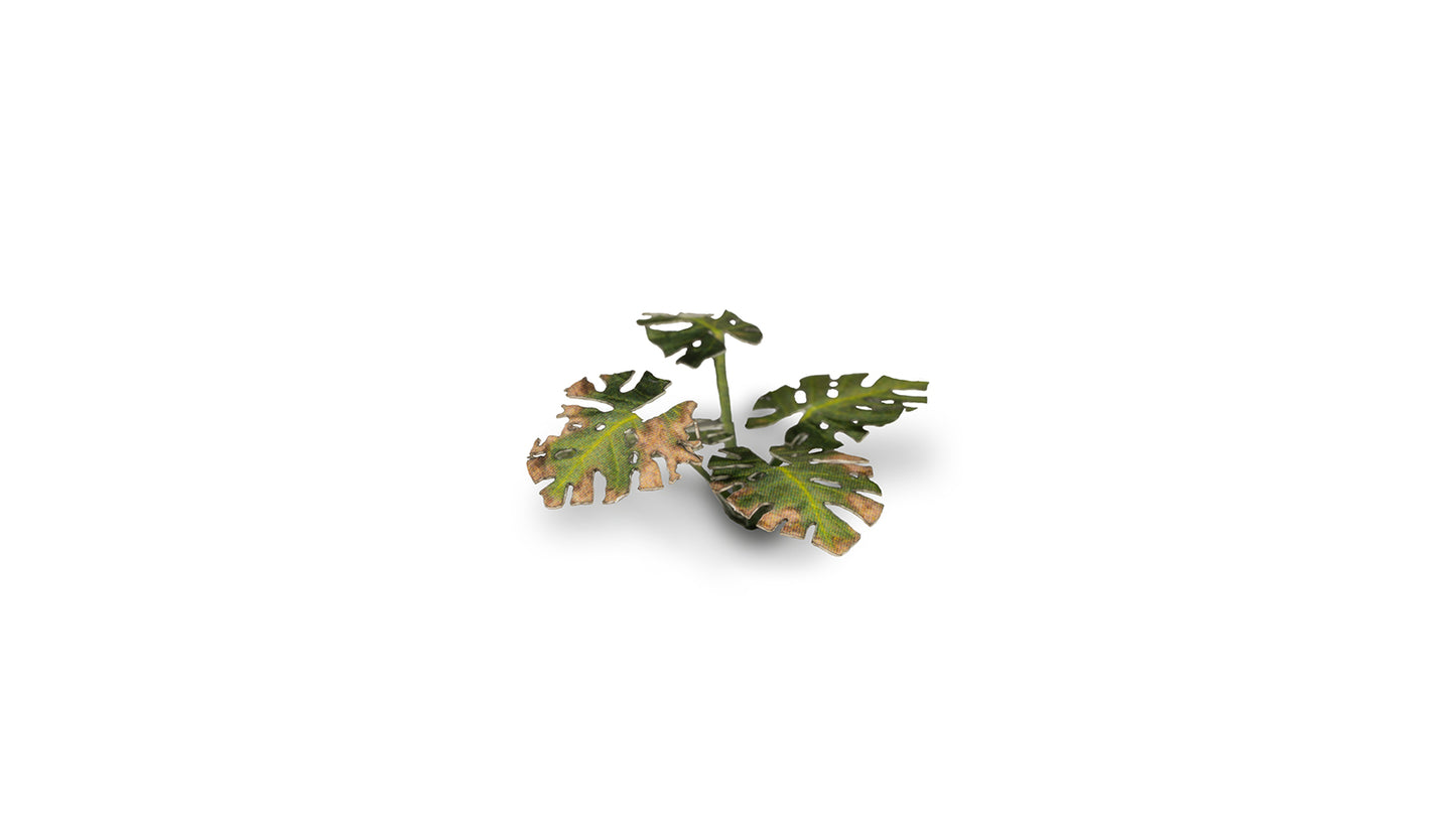 Gamers Grass - Monstera