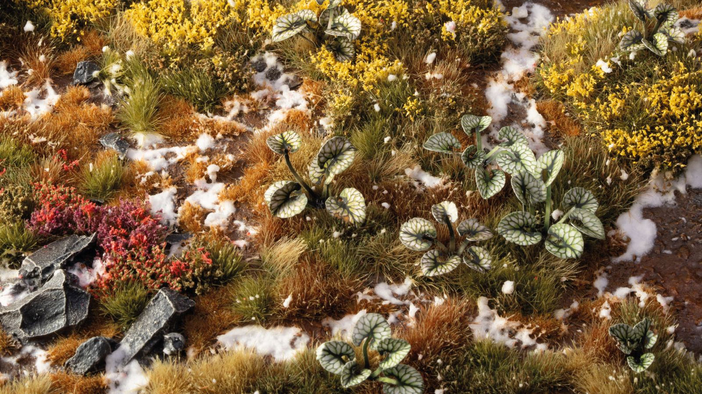 PRE-ORDER - Gamers Grass - Bugloss