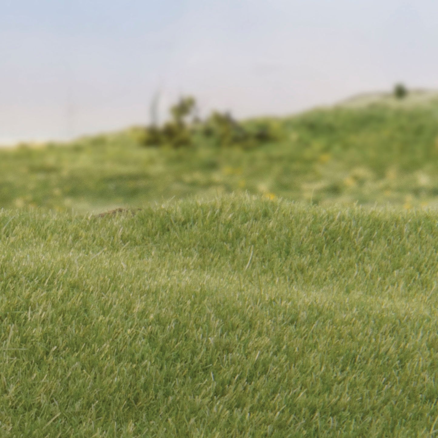 Woodland Scenics - Field System - Static Grass - Medium Green 2mm