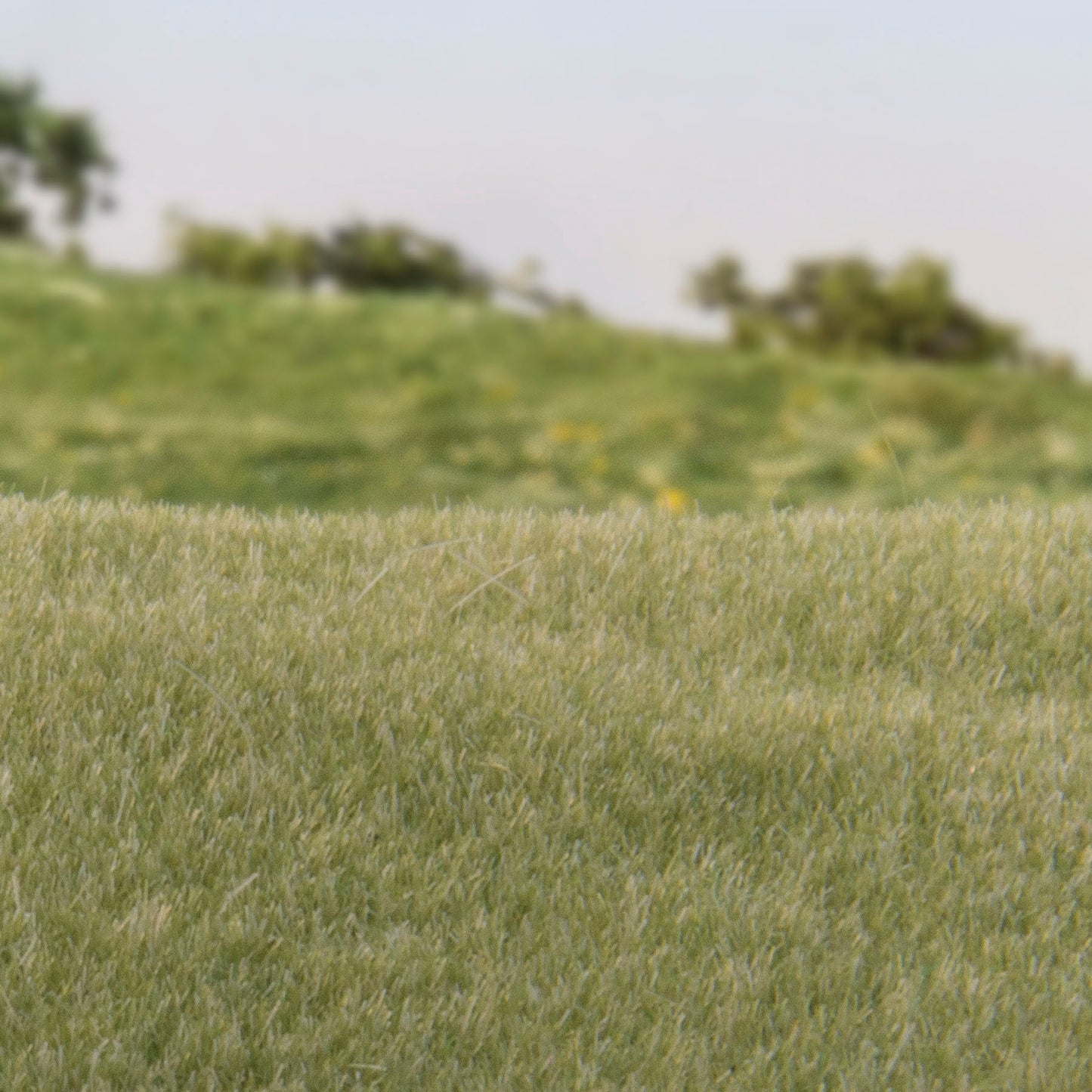Woodland Scenics - Field System - Static Grass - Light Green 2mm