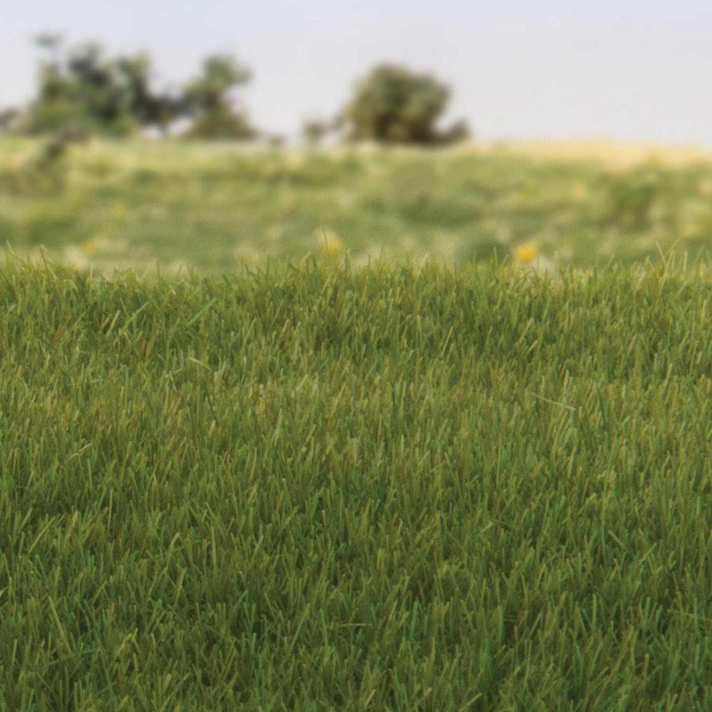 Woodland Scenics - Field System - Static Grass - Dark Green 4mm