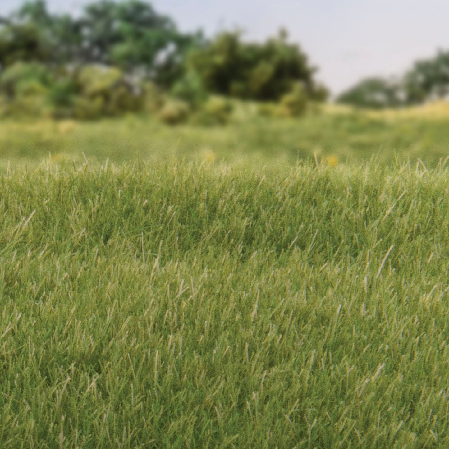 Woodland Scenics - Field System - Static Grass - Medium Green 4mm