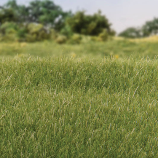 Woodland Scenics - Field System - Static Grass - Medium Green 4mm