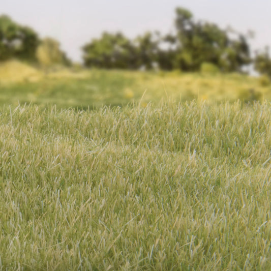 Woodland Scenics - Field System - Static Grass - Light Green 4mm