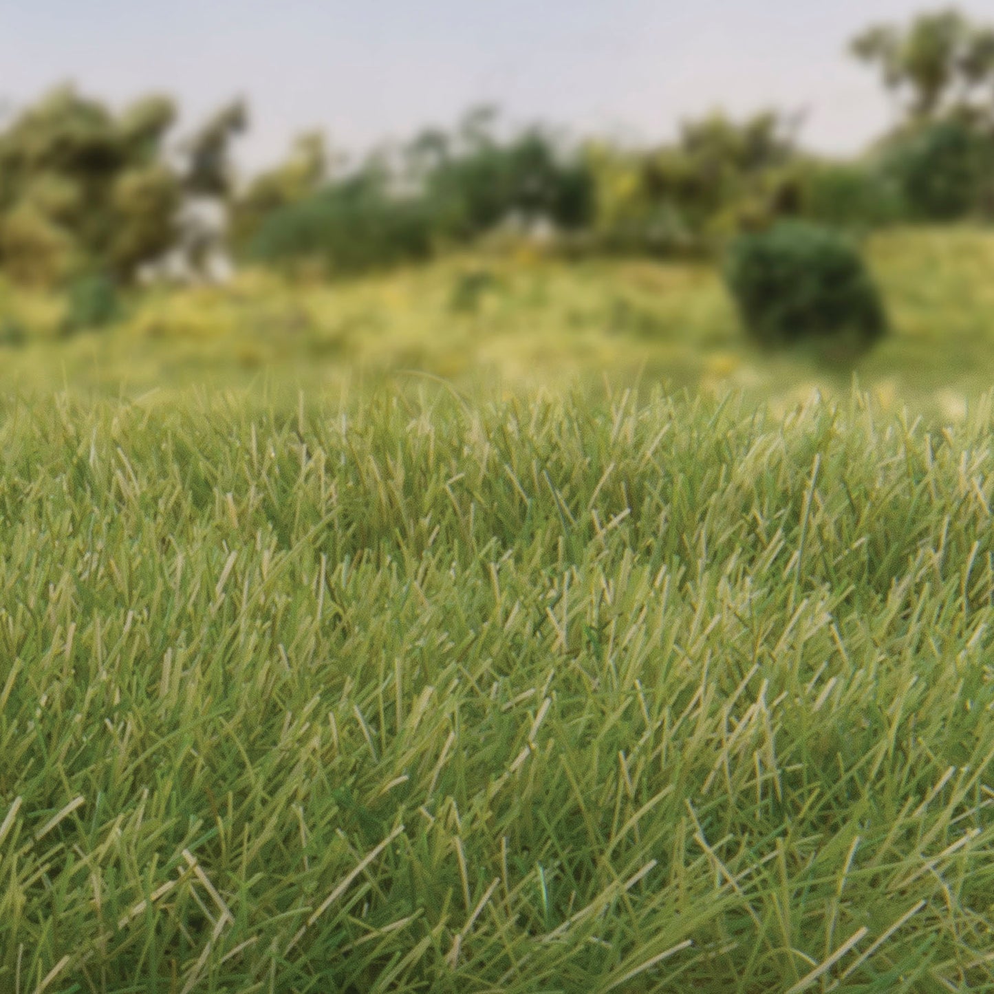 Woodland Scenics - Field System - Static Grass - Medium Green 7mm