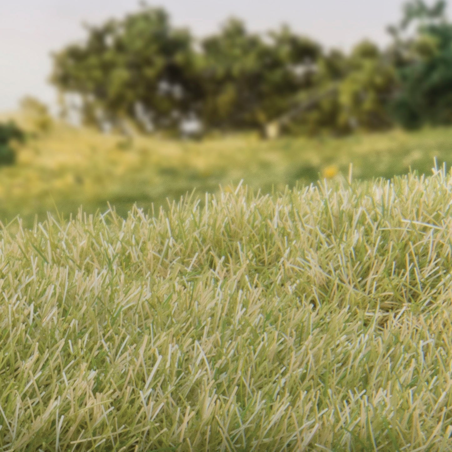 Woodland Scenics - Field System - Static Grass - Light Green 7mm
