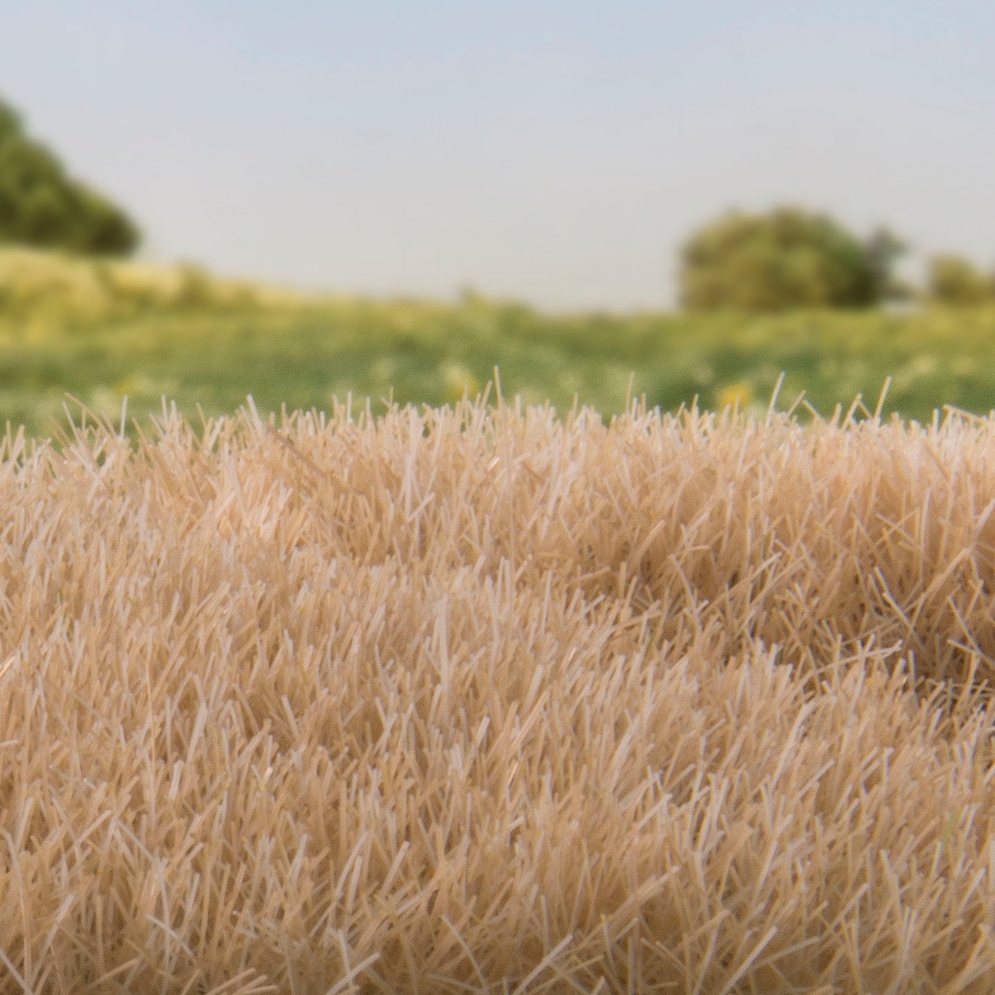 Woodland Scenics - Field System - Static Grass - Straw 7mm