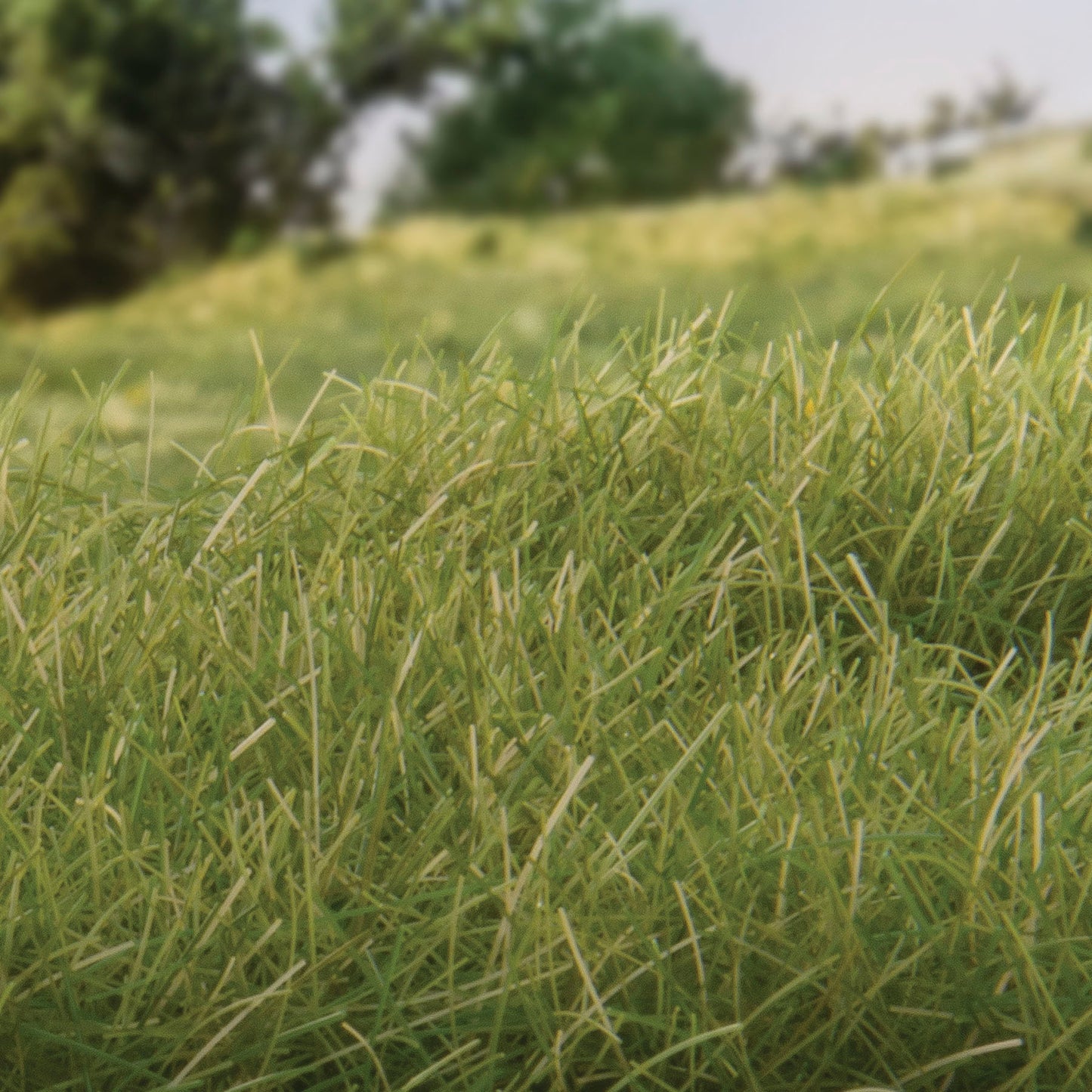 Woodland Scenics - Field System - Static Grass - Medium Green 12mm