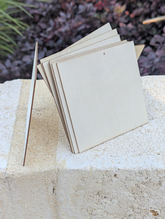 10cm x 10cm Plywood sheeting for model making
