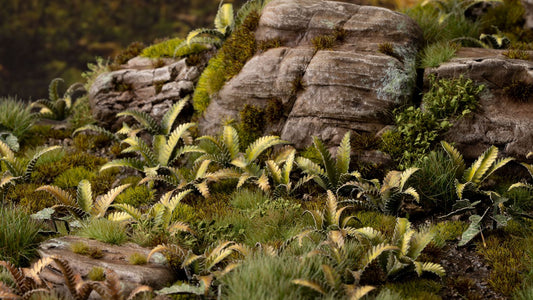 Gamers Grass - Deer Fern