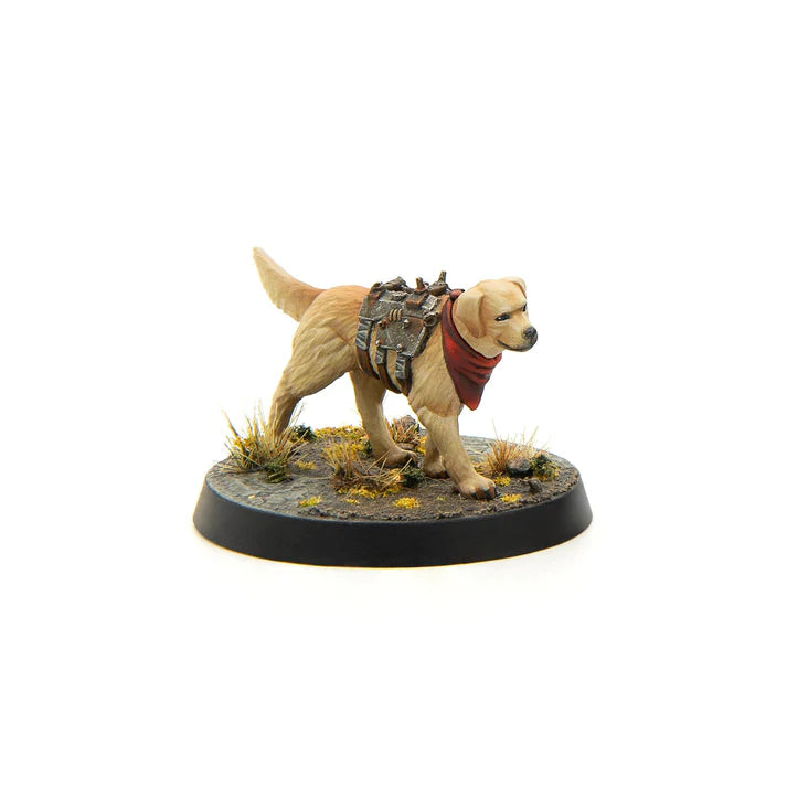Modiphius Entertainment - Fallout - Survivors: Core Box - Plastic