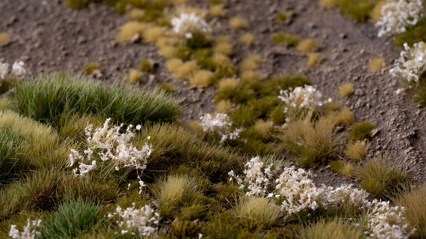 Gamers Grass - White Flower Tufts